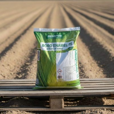 Boro Enamel-15 - Meristem - (Borato de Sodio)